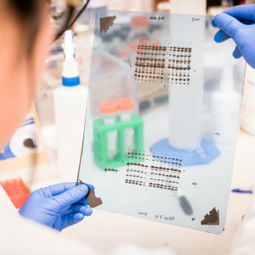 技術(shù)服務(wù)采購指南 價(jià)格與供應(yīng)商信息解析